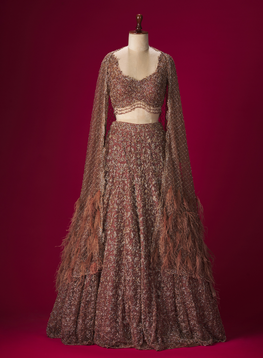 Brown net lehenga with feathered dupatta in cutdana, crystal and thread embroidery