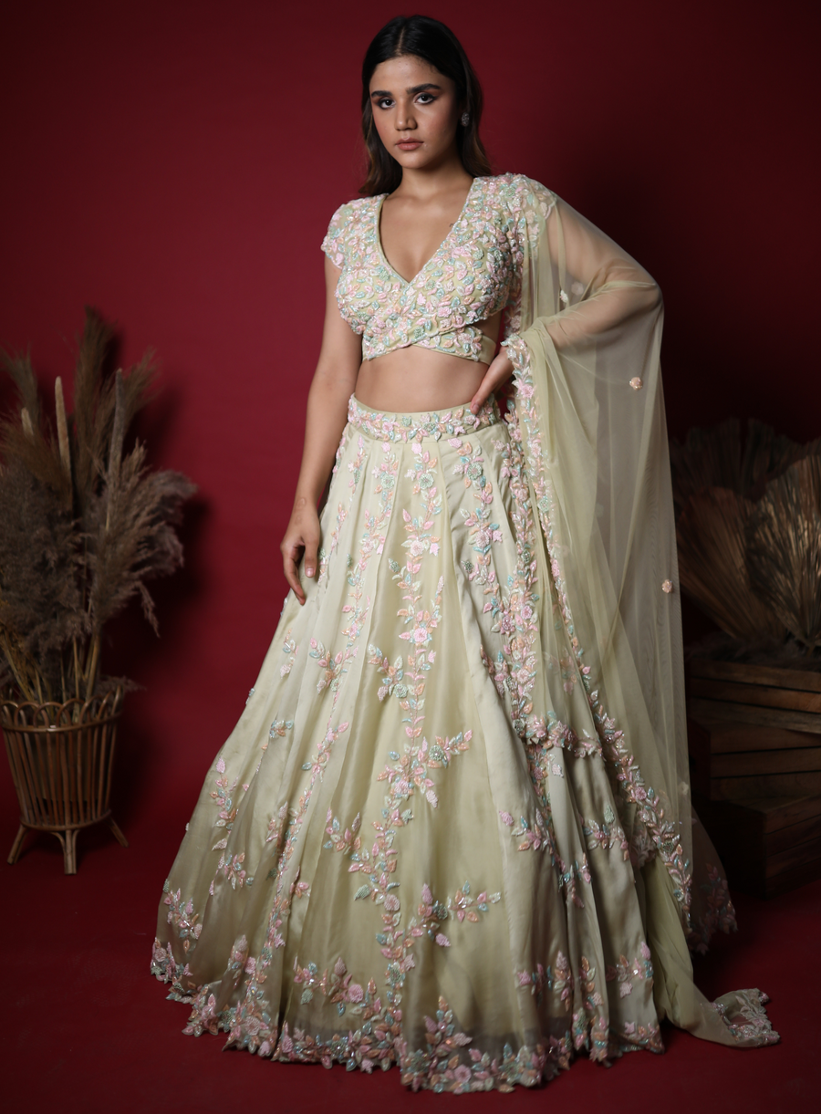 Sage green lehenga set with crystal, glass bead and french knot embroidery