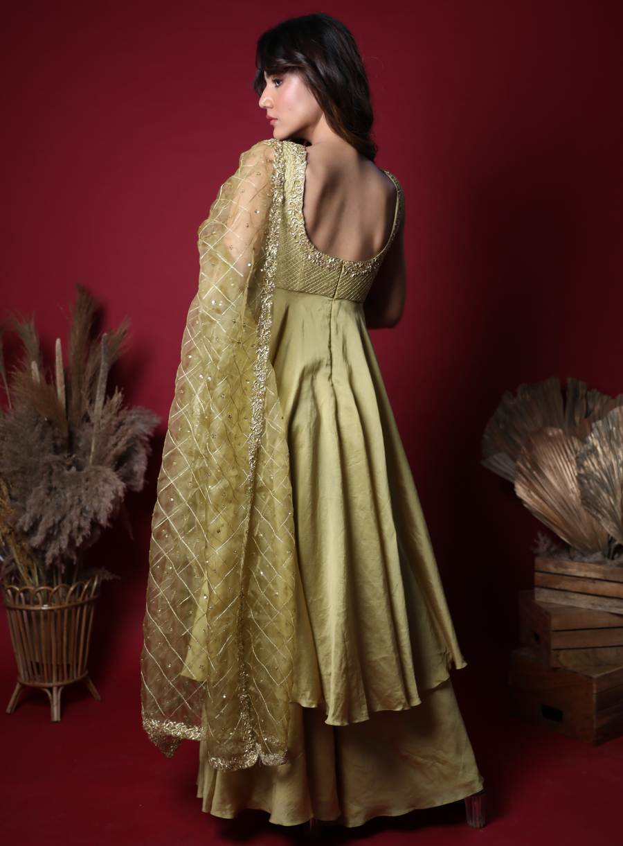 Back view of the pastel olive green Anarkali with embroidered dupatta