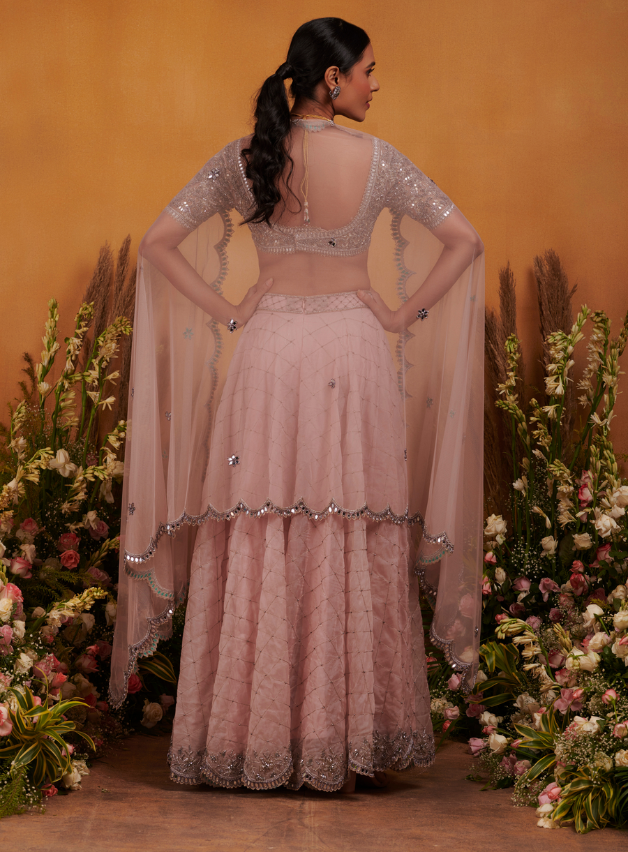 Back view of the onion pink mirror work blouse with a sheer mirror-edged dupatta and embellished flared pants, hair in a low ponytail braid