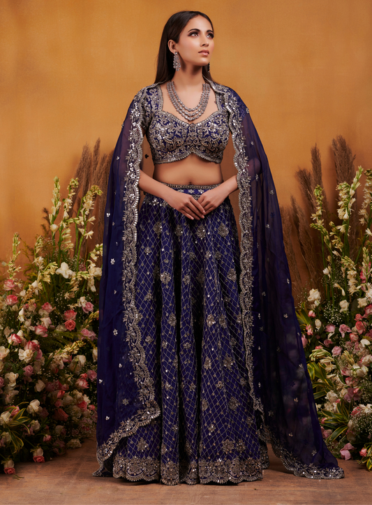 Blue Mirror Zardozi Hand Embellished Lehenga